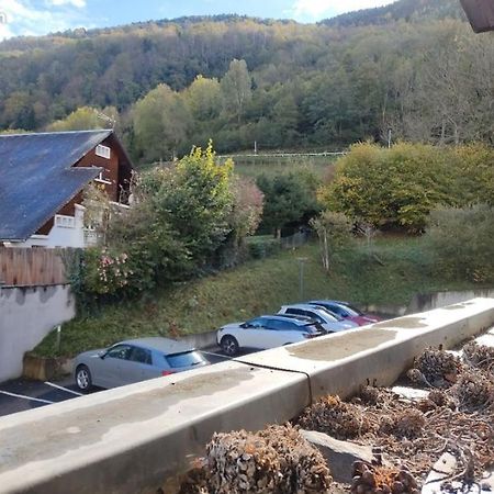 Appartement Confortable Saint Lary Village Exteriör bild